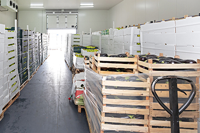 Пищевая и фармацевтика